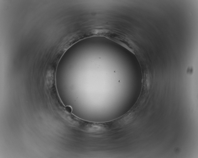 X0000114010475200910021346