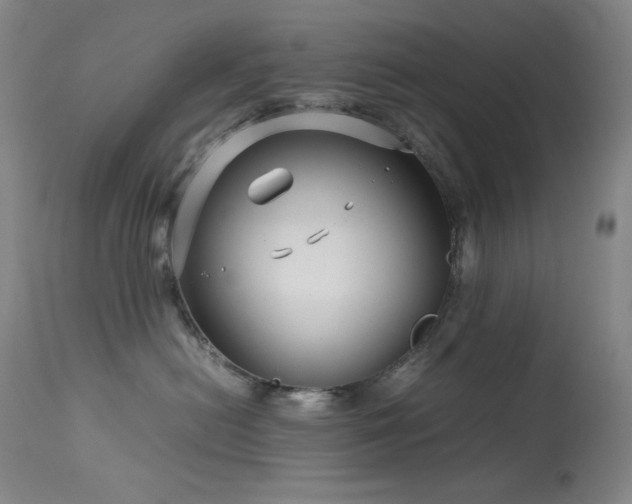 X0000114010478200910021346