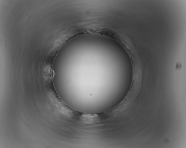 X0000114010480200910021346