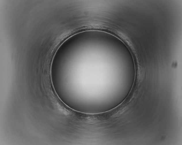 X0000114010481200910021346