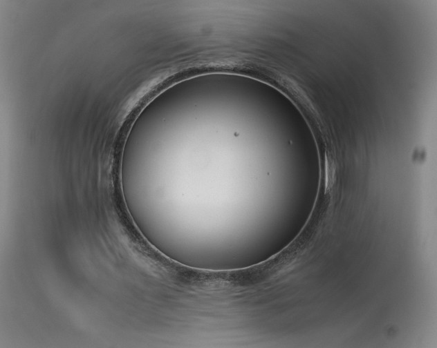 X0000114010483200910021346