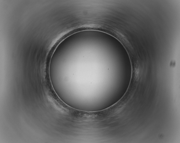 X0000114010484200910021346