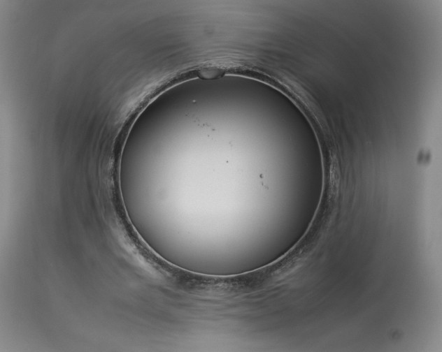 X0000114010485200910021346