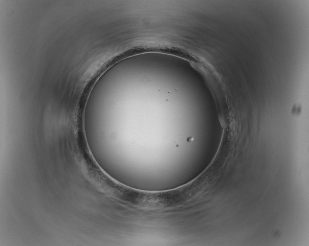 X0000114010487200910021346