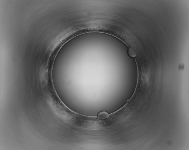 X0000114010488200910021346