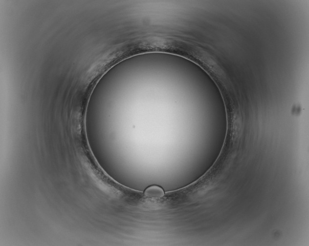 X0000114010489200910021346