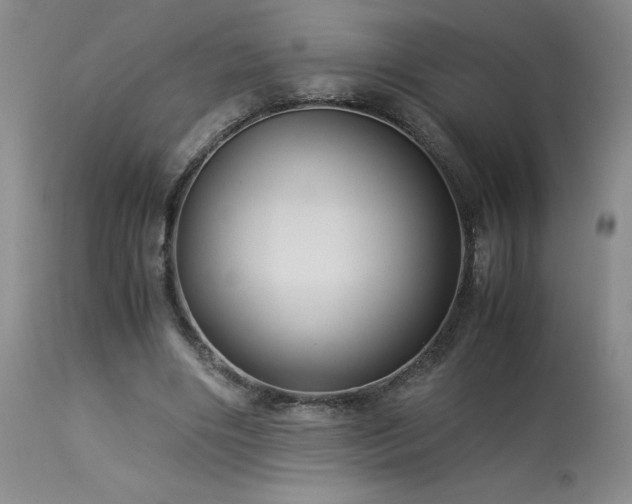 X0000114010490200910021346
