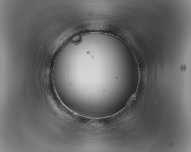 X0000114010491200910021346