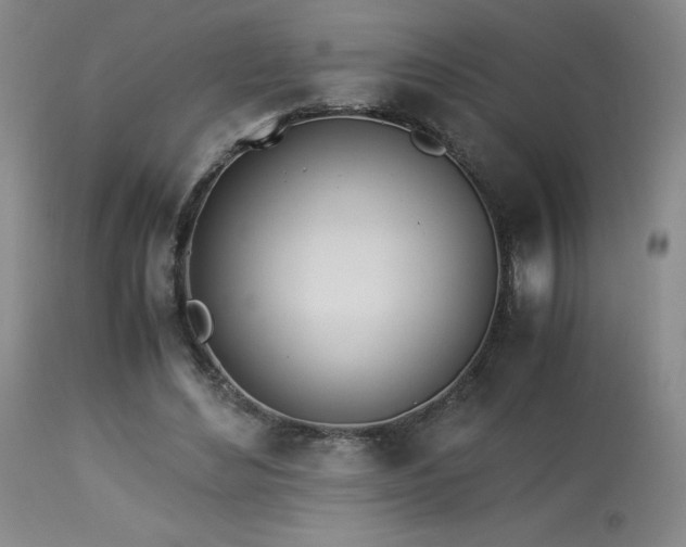 X0000114010492200910021346