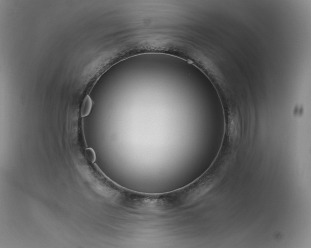 X0000114010493200910021346