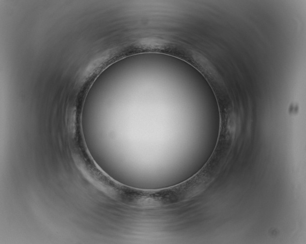 X0000114010494200910021346