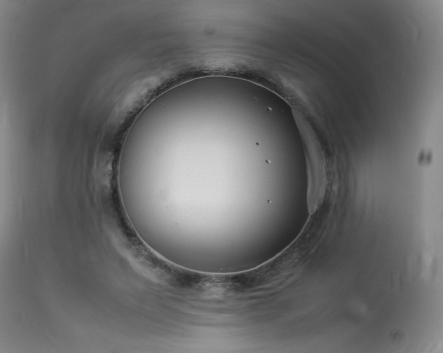 X0000114010495200910021346