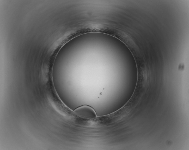 X0000114010496200910021346