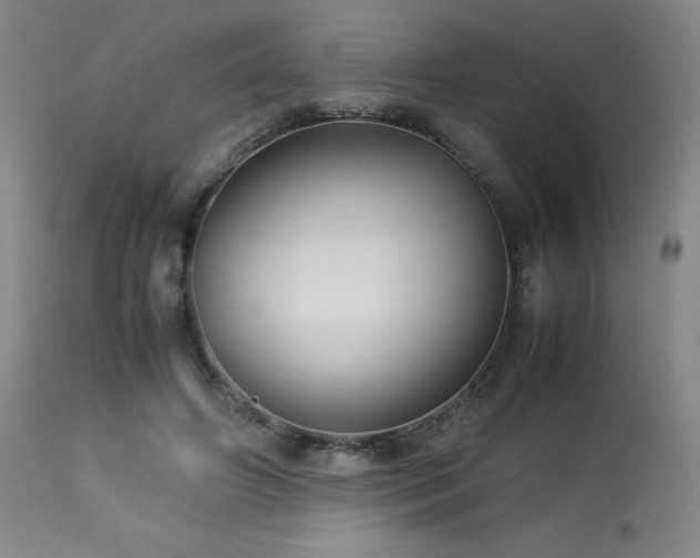 X0000114010498200910021345