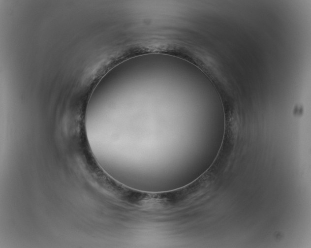 X0000114010499200910021345