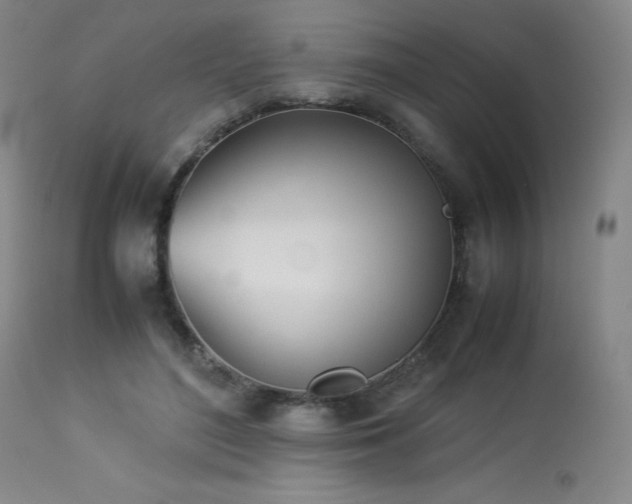 X0000114010500200910021345