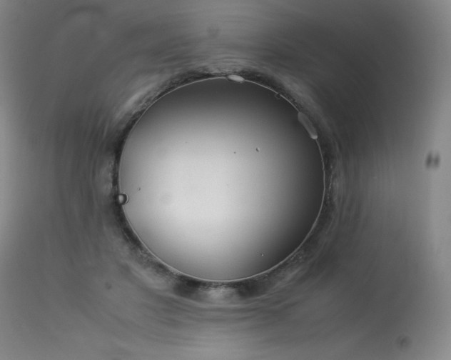 X0000114010501200910021345