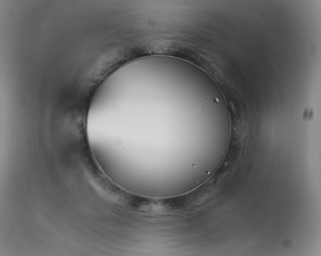 X0000114010503200910021345