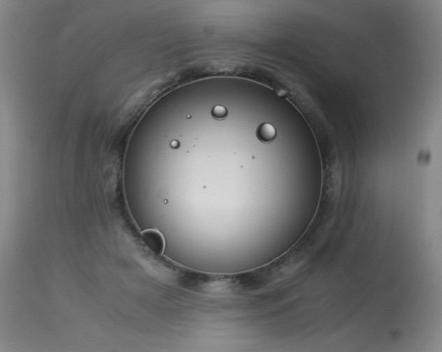 X0000114010505200910021345