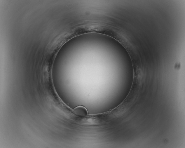 X0000114010506200910021345