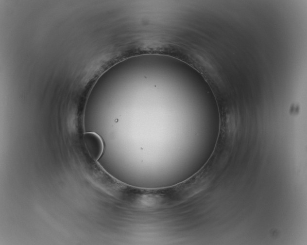 X0000114010508200910021345