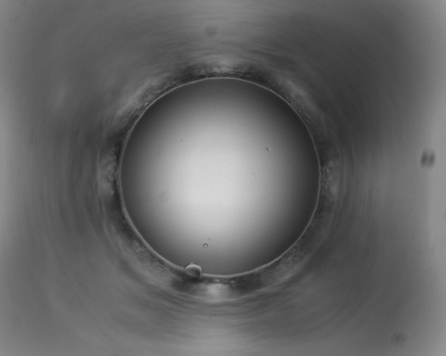 X0000114010509200910021345