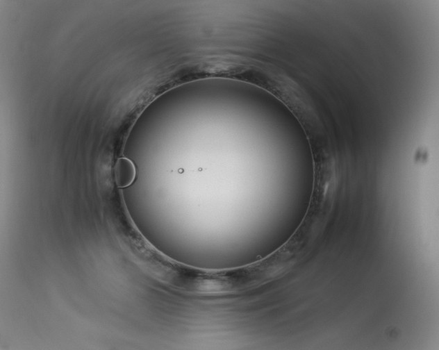 X0000114010510200910021345