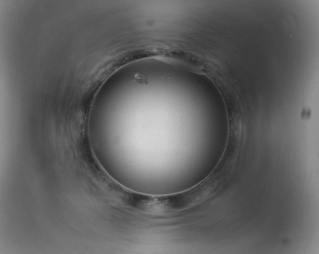 X0000114010511200910021345