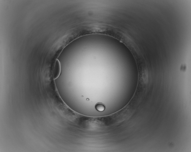 X0000114010512200910021345