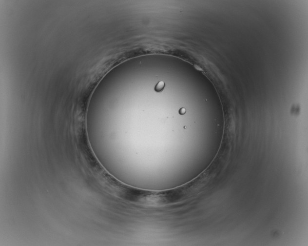 X0000114010513200910021345