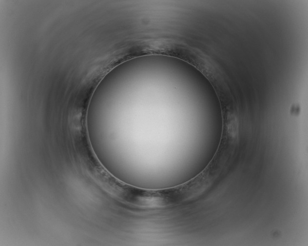 X0000114010514200910021345