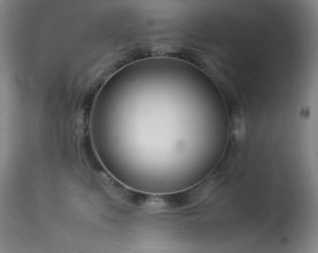 X0000114010519200910021345