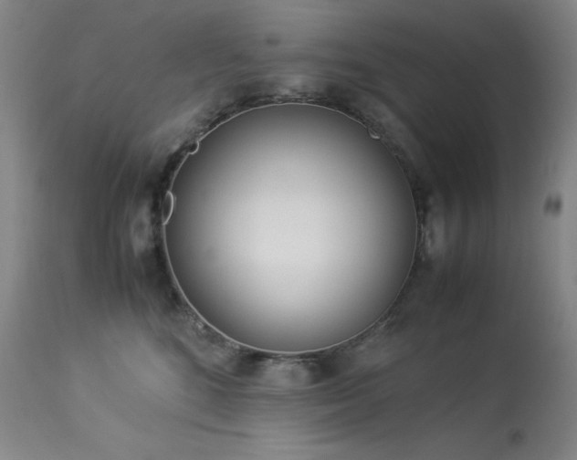X0000114010520200910021345