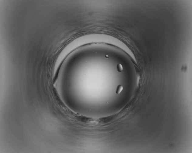 X0000114010521200910021345