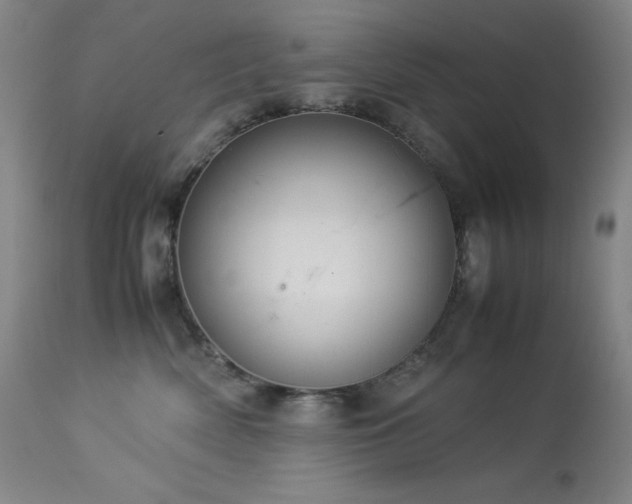 X0000114010522200910021345