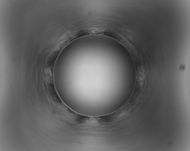 X0000114010523200910021345