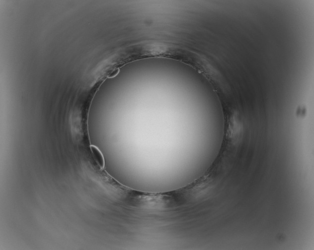 X0000114010524200910021345