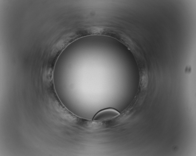 X0000114010525200910021345