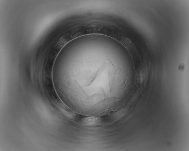 X0000114010526200910021345