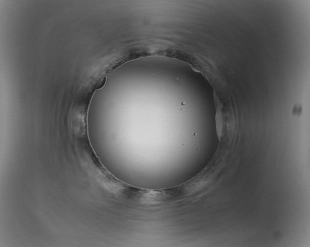 X0000114010527200910021345