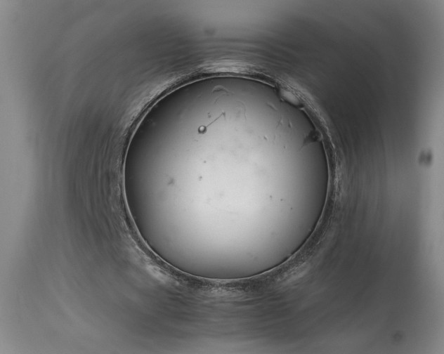X0000114010529200910021344