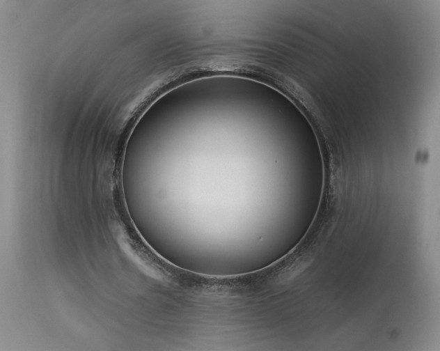 X0000114010530200910021344
