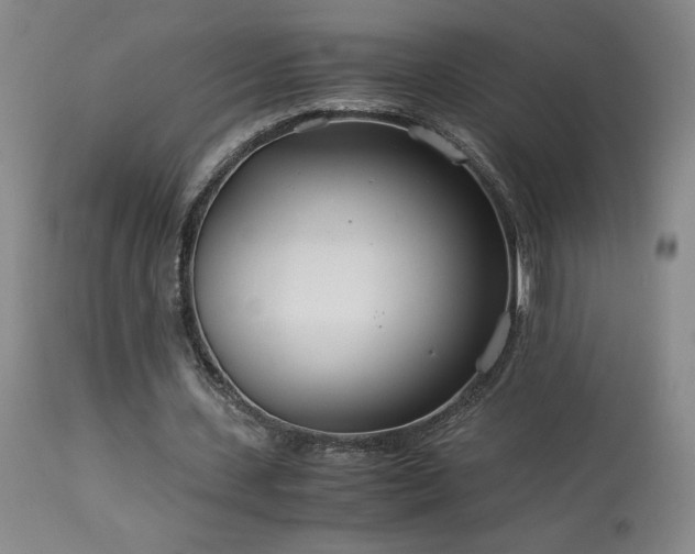 X0000114010531200910021344