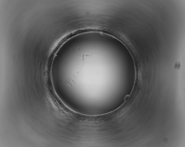 X0000114010532200910021344
