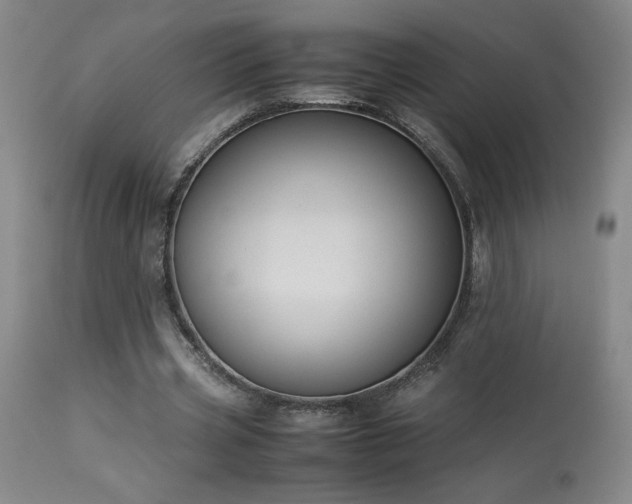 X0000114010533200910021344