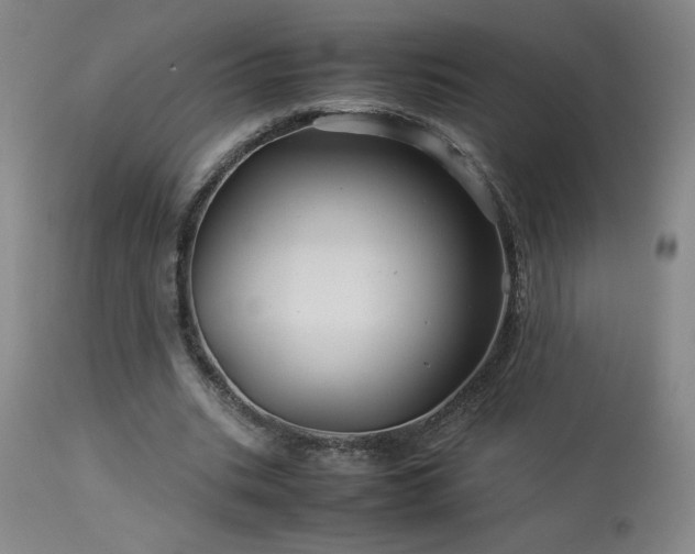 X0000114010535200910021344