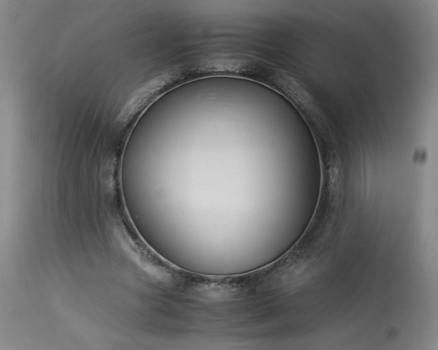 X0000114010537200910021344