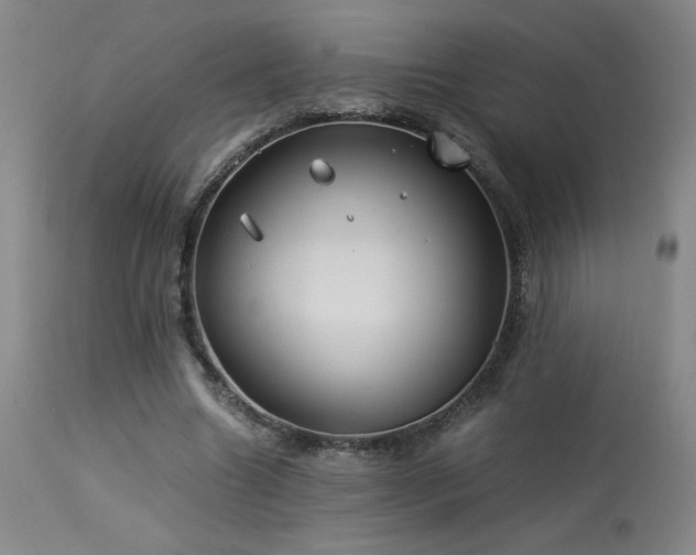 X0000114010538200910021344