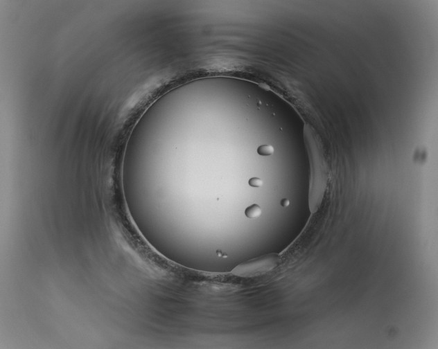X0000114010539200910021344