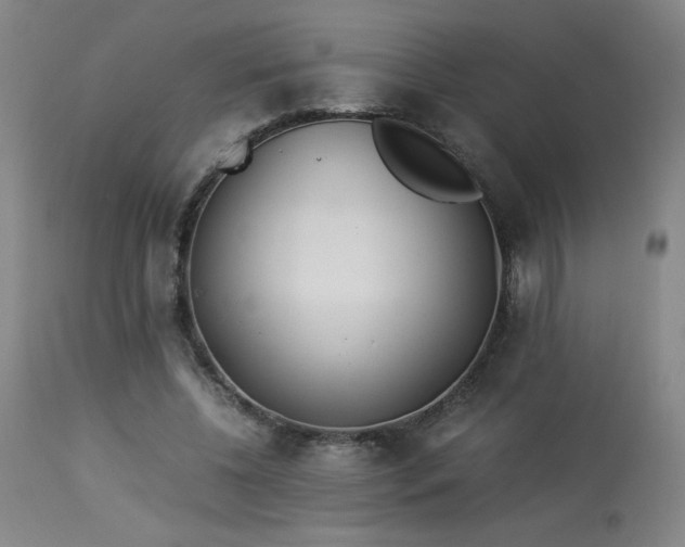 X0000114010540200910021344